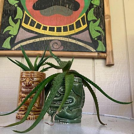 Hau'Oli Place Tiki Cottage In 볼케이노 외부 사진