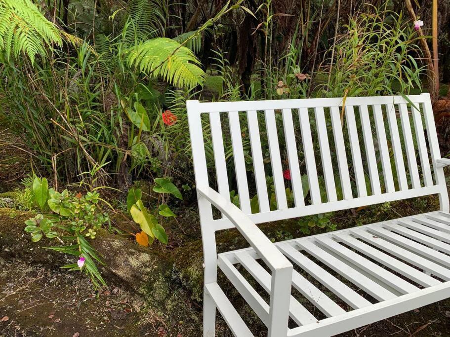 Hau'Oli Place Tiki Cottage In 볼케이노 외부 사진